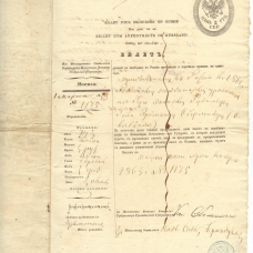 Проездные документы, удостоверения личности