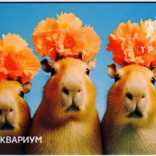 Москвариум