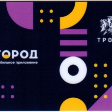 Мобильное приложение 