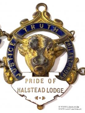 Церемониальная лента нашейная RAOB.