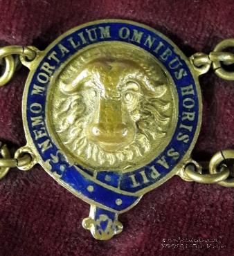 Церемониальная нашейная лента.