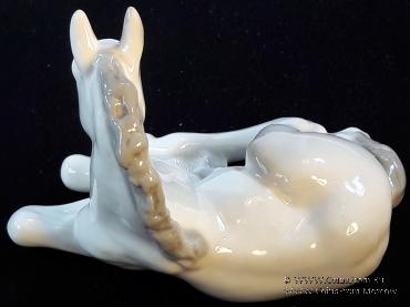 Жеребенок белый