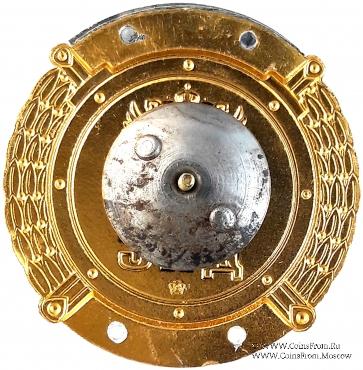 Нагрудный знак сотрудников ДПС ГИБДД МВД РФ