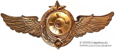 Знак классности ВКС 