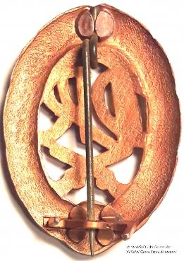 Знак ДОСААФ. Германия