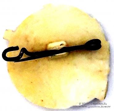 Значок Оборонно-спортивное общество ГДР GST. Стрелковый спорт. Германия