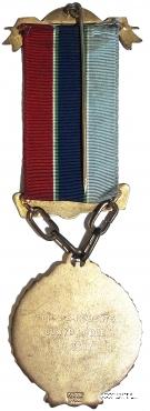 Юбилейный знак 100-летие благотворительной организации 