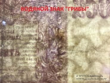 250 рублей 1920 г. 