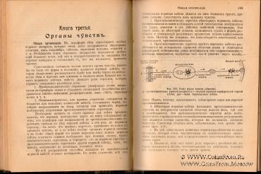 Человек и животный мир. 1903 г.