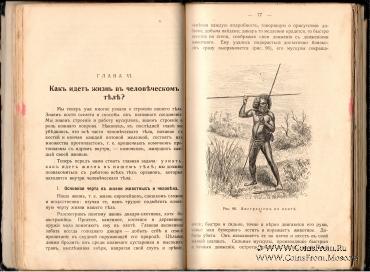 Строение и жизнь человеческого тела. 1910 г.
