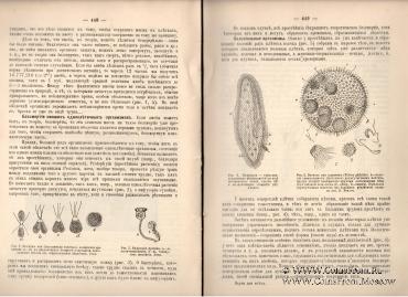 Наука для всех. 1919 г.