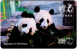 Билеты, талоны, карты для проезда в транспорте