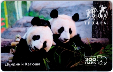 Билеты, талоны, карты для проезда в транспорте