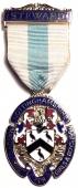 Знак MTGB 1991. STEWARD Masonic Trust for Girls and Boys.