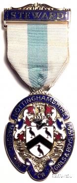 Знак MTGB 1991. STEWARD Masonic Trust for Girls and Boys.
