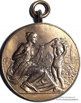 Школьная медаль.