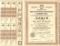 Акция Общества Брянского рельсопрокатного, железоделательного и механического завода 1912 г.