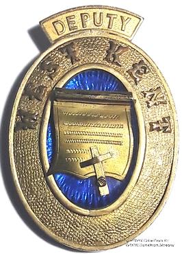 Знак Прошлый Заместитель Архивариуса.