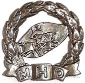 Значок МНО (вариант 3)