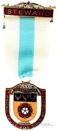 Знак MTGB 2003. STEWARD Masonic Trust for Girls and Boys.