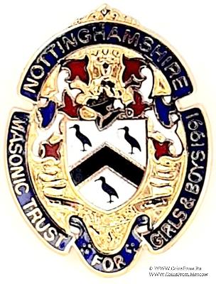 Знак MTGB 1991. STEWARD Masonic Trust for Girls and Boys.