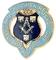 Знак MTGB 1995. STEWARD Masonic Trust for Girls and Boys.