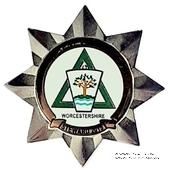 2015. Знак STEWARD Mark Benevolent Fund. 