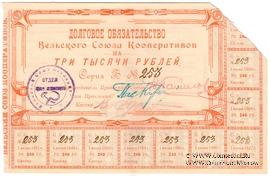 3.000 рублей 1920 г. (Вельск)