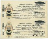 100 и 100 рублей 1918 г. БРАК