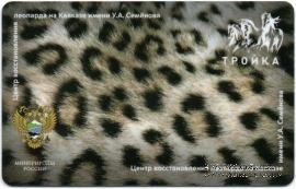 Карта 